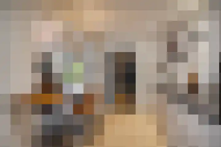 Reusel 2 Deurne thumbnail 14