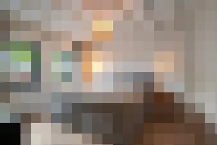 Reusel 2 Deurne thumbnail 22