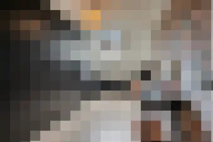 Reusel 2 Deurne thumbnail 26