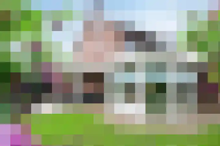 Reusel 2 Deurne thumbnail 37