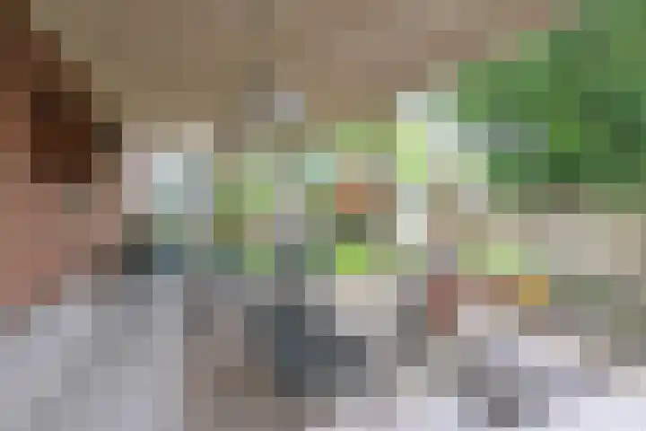 Reusel 2 Deurne thumbnail 39