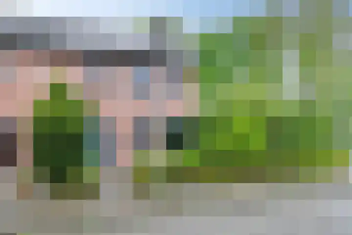 Reusel 2 Deurne thumbnail 42
