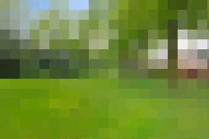 Reusel 2 Deurne thumbnail 47