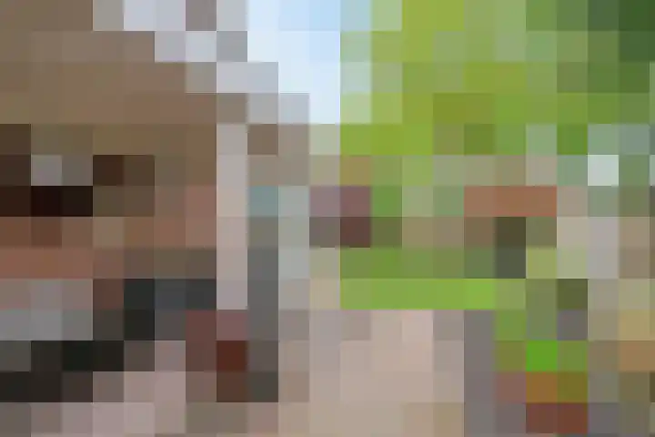 Reusel 2 Deurne thumbnail 5