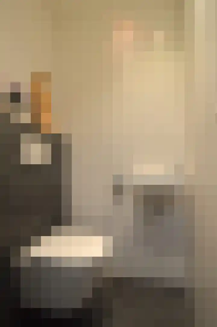 Reusel 21 Deurne thumbnail 11