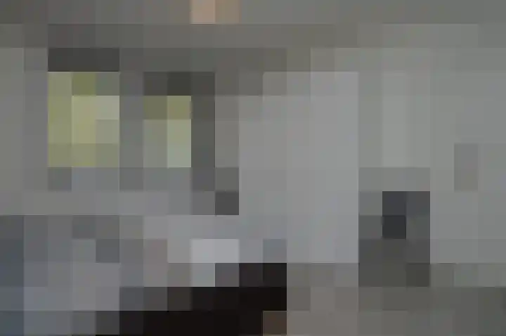 Reusel 21 Deurne thumbnail 14