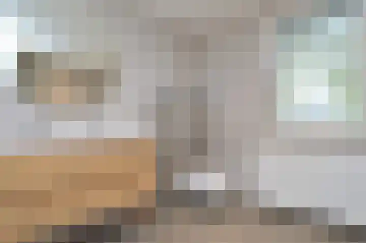 Reusel 21 Deurne thumbnail 21