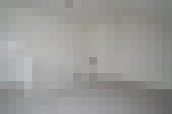 Reusel 21 Deurne thumbnail 22