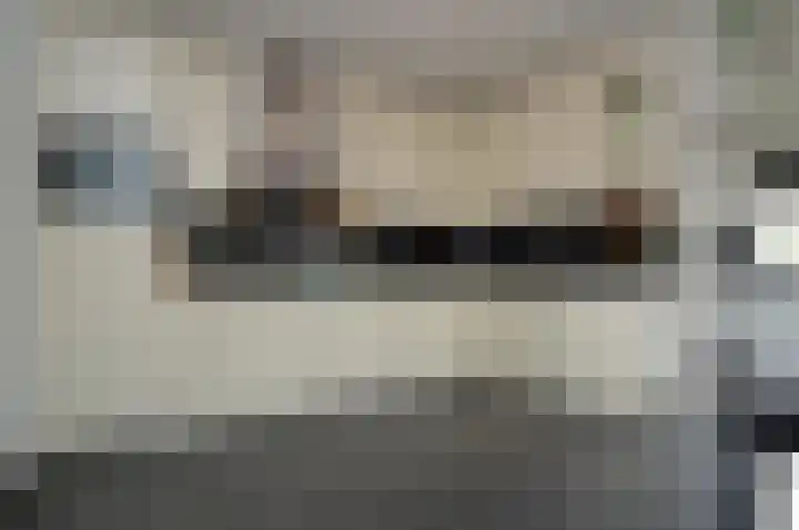 Reusel 21 Deurne thumbnail 4