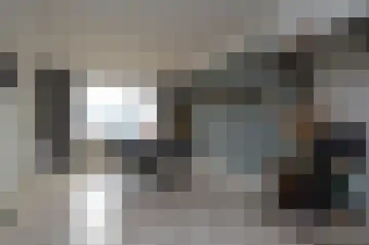 Reusel 21 Deurne thumbnail 5