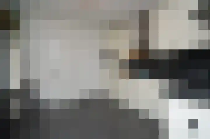 Reusel 21 Deurne thumbnail 8