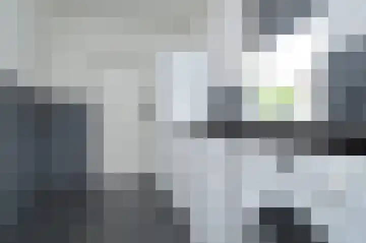 Reusel 21 Deurne thumbnail 9