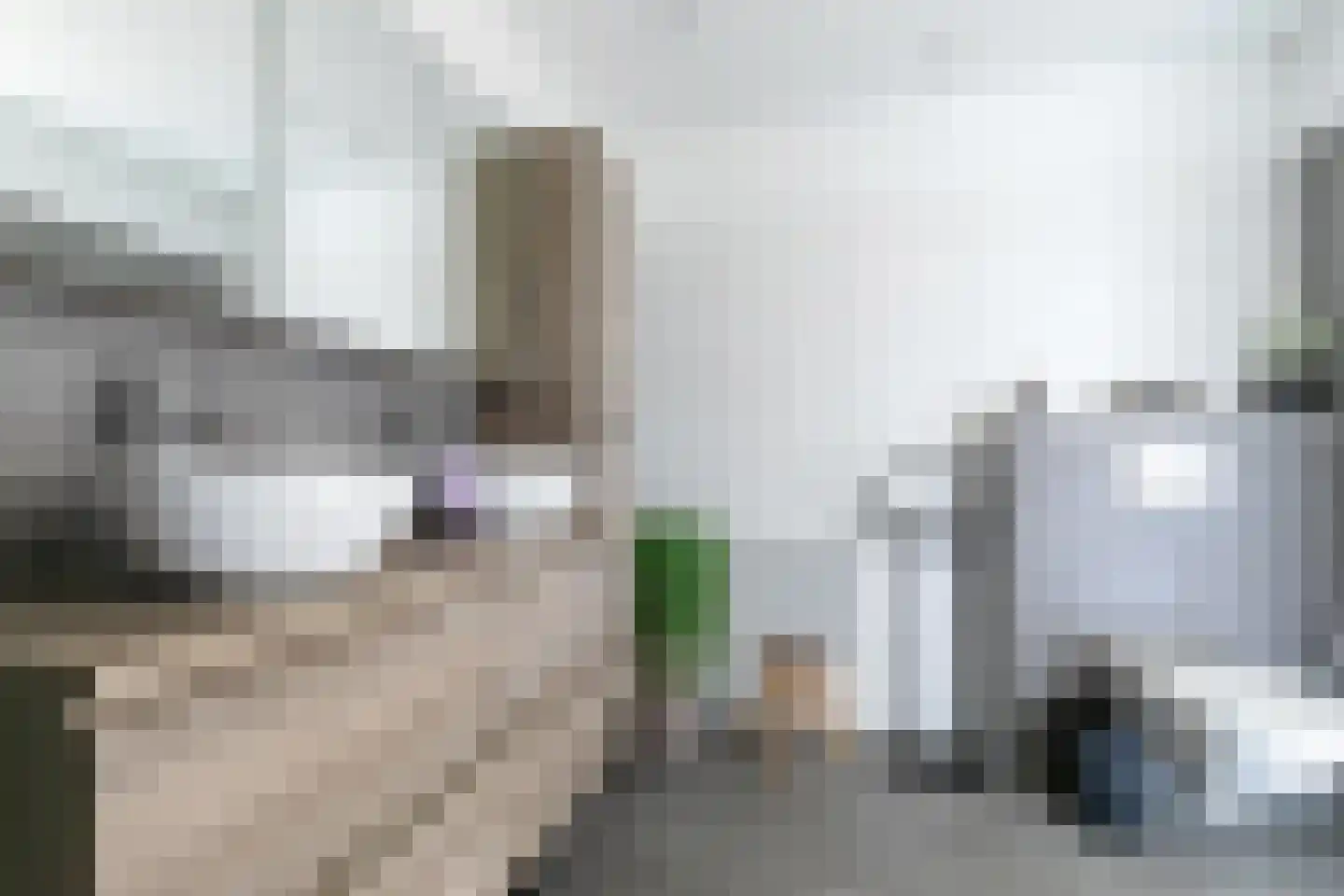 Reuselhof 22 Moergestel thumbnail 27