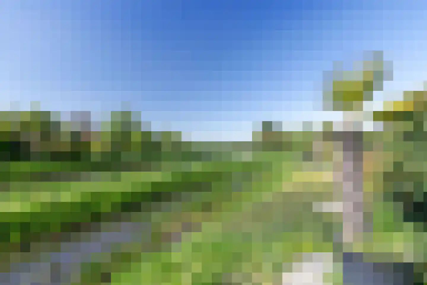 Reuselhof 22 Moergestel thumbnail 5