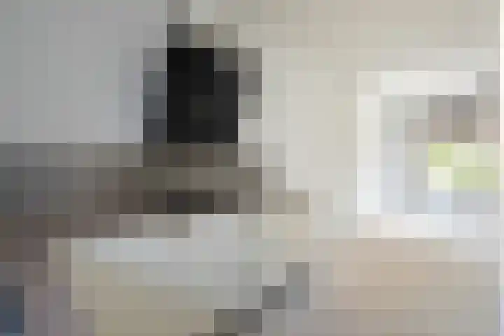 Reuselhof 30 Moergestel thumbnail 10