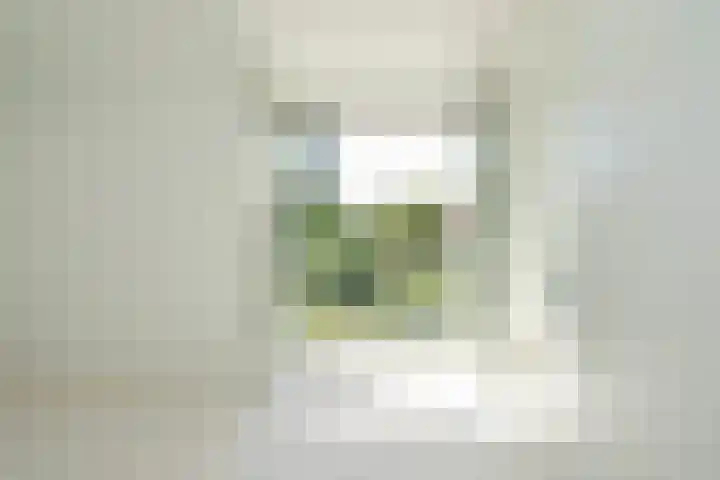 Reuselhof 30 Moergestel thumbnail 13