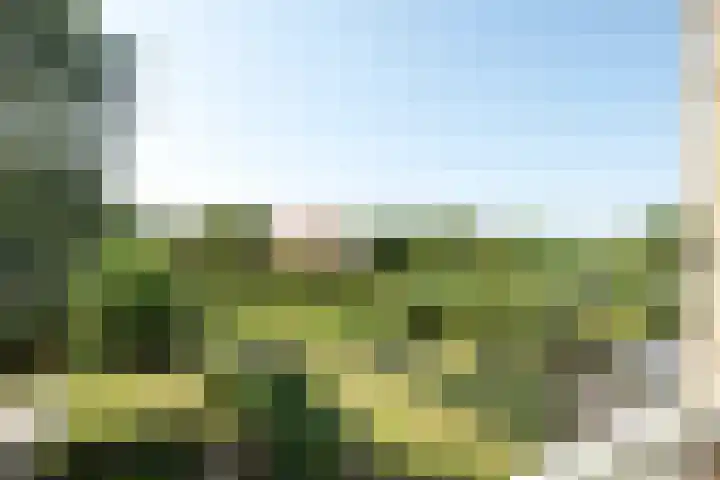Reuselhof 30 Moergestel thumbnail 14