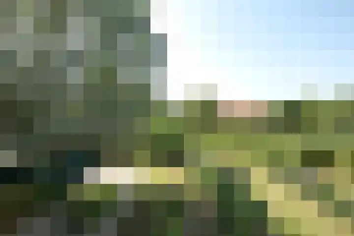 Reuselhof 30 Moergestel thumbnail 15