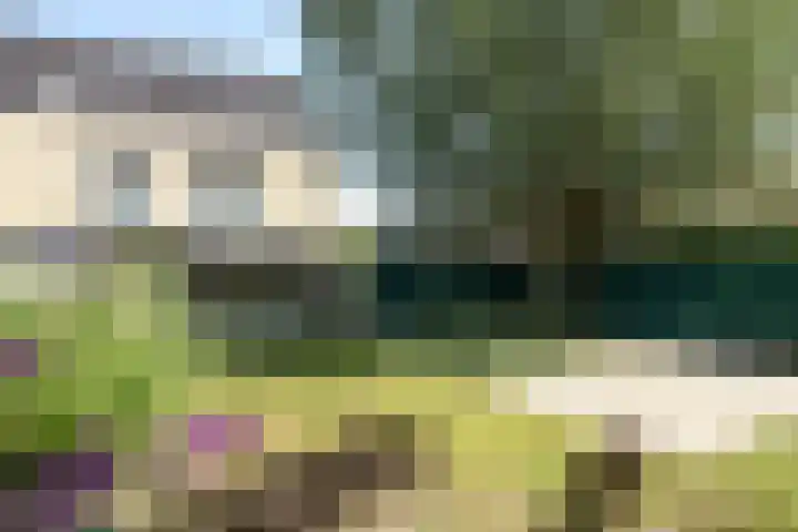 Reuselhof 30 Moergestel thumbnail 24