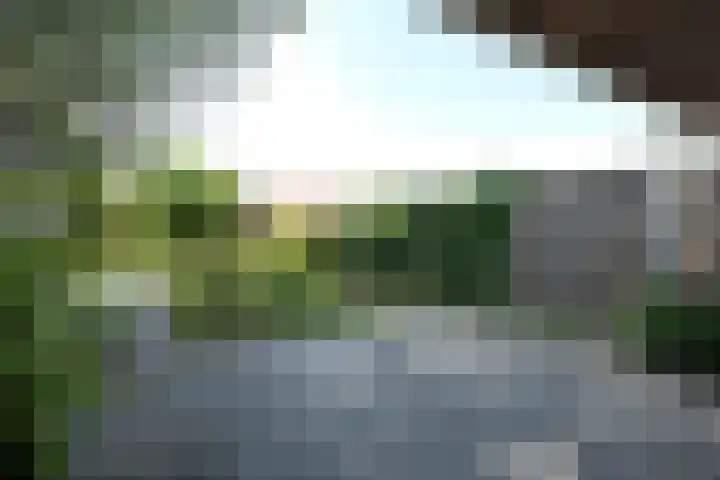 Reuselhof 30 Moergestel thumbnail 26