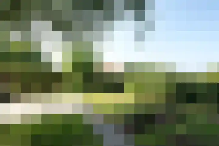 Reuselhof 30 Moergestel thumbnail 27