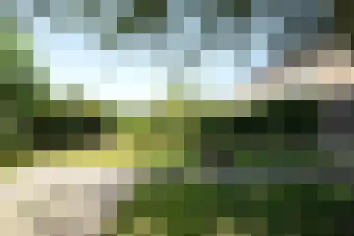 Reuselhof 30 Moergestel thumbnail 28