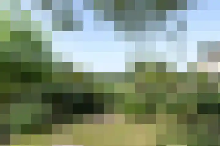 Reuselhof 30 Moergestel thumbnail 29