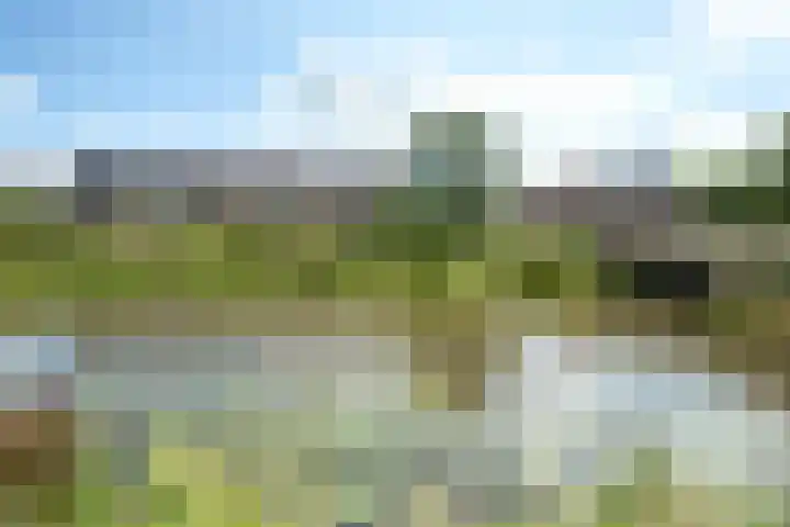 Reuselhof 30 Moergestel thumbnail 35