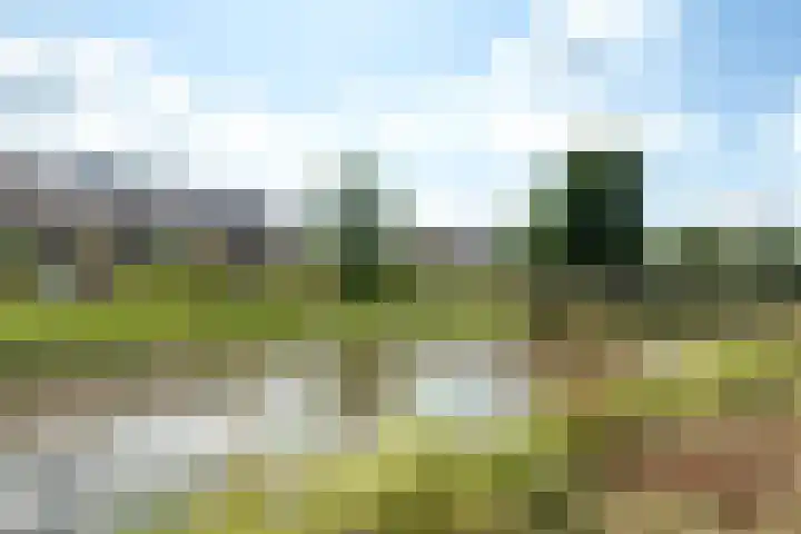 Reuselhof 30 Moergestel thumbnail 36