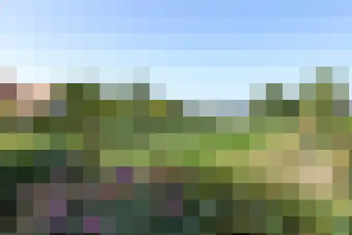 Reuselhof 30 Moergestel thumbnail 37