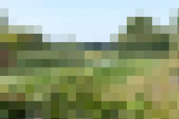 Reuselhof 30 Moergestel thumbnail 38