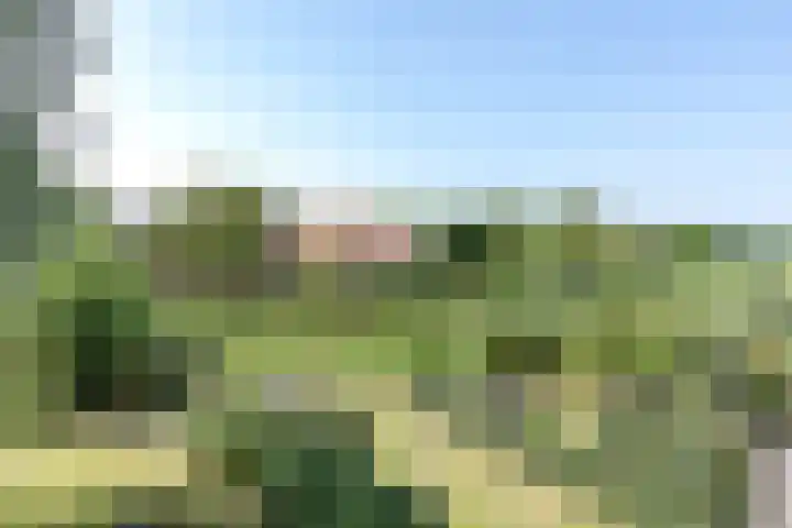 Reuselhof 30 Moergestel thumbnail 39