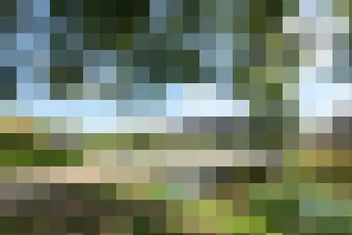 Reuselhof 30 Moergestel thumbnail 41