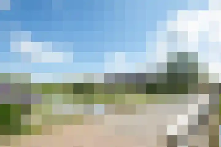 Reuselhof 30 Moergestel thumbnail 42