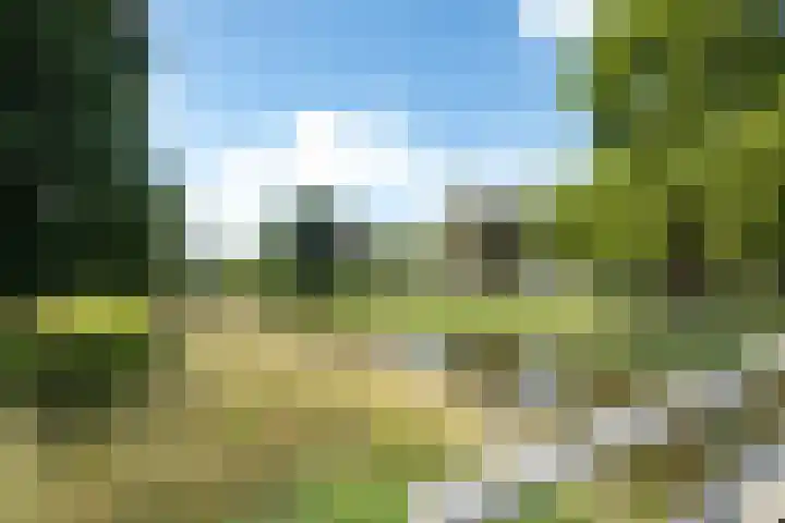 Reuselhof 30 Moergestel thumbnail 44