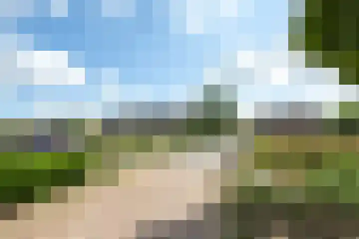 Reuselhof 30 Moergestel thumbnail 45