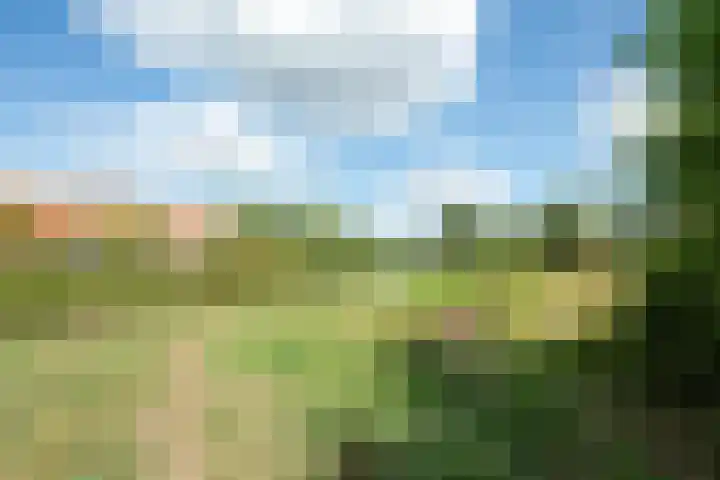 Reuselhof 30 Moergestel thumbnail 46