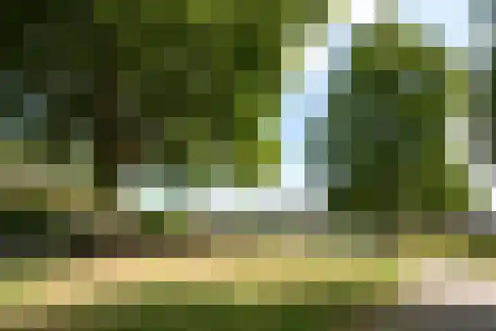 Reuselhof 30 Moergestel thumbnail 47