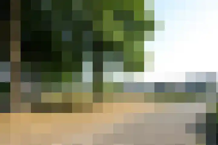 Reuselhof 30 Moergestel thumbnail 48
