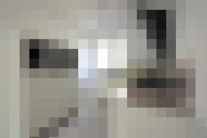Reuselhof 30 Moergestel thumbnail 8