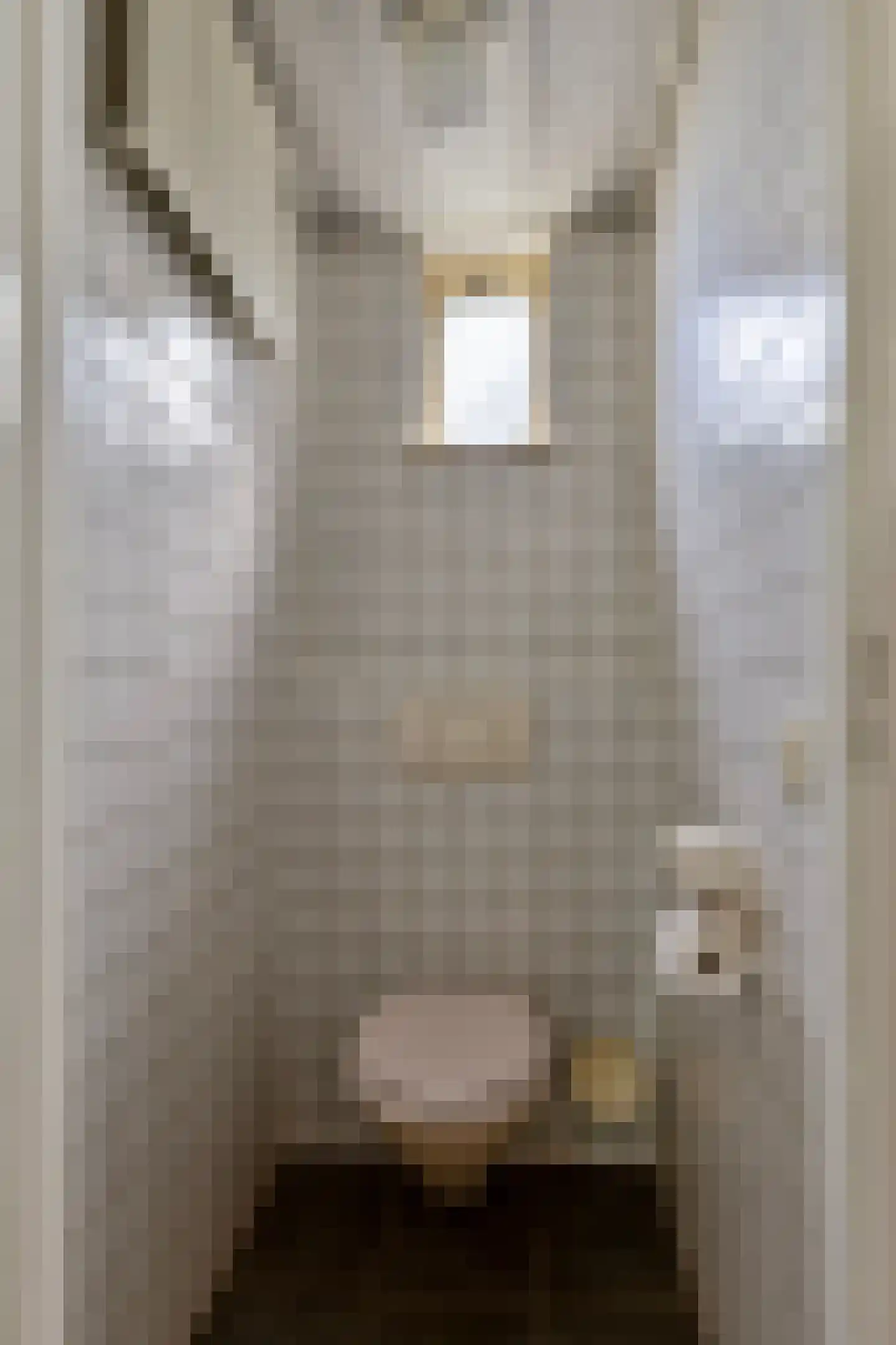 Reuselstraat 18 Eindhoven thumbnail 13