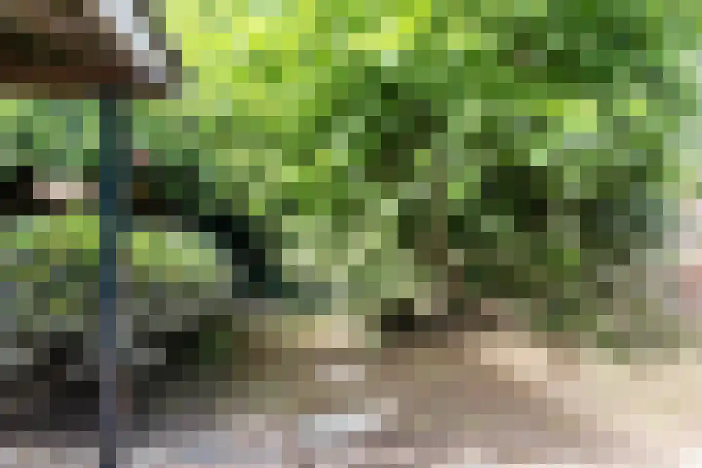Reuselstraat 18 Eindhoven thumbnail 34