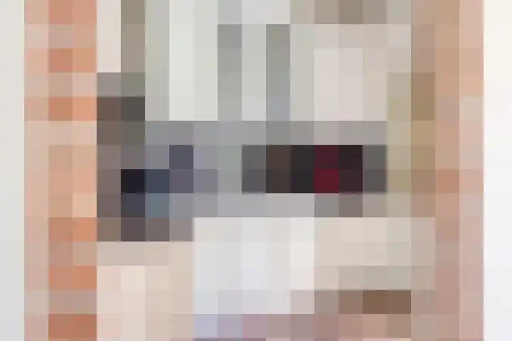Reusensestraat 37 Leuth thumbnail 12
