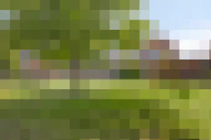 Reusensestraat 37 Leuth thumbnail 33