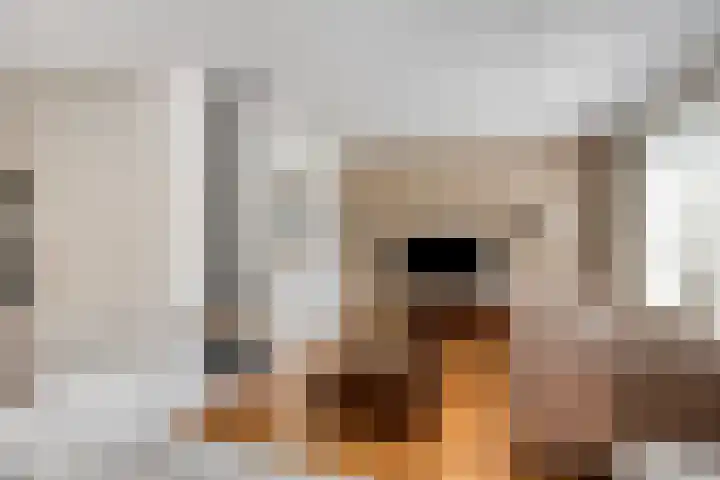 Reute 26 Haaksbergen thumbnail 10