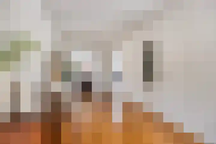 Reute 26 Haaksbergen thumbnail 11