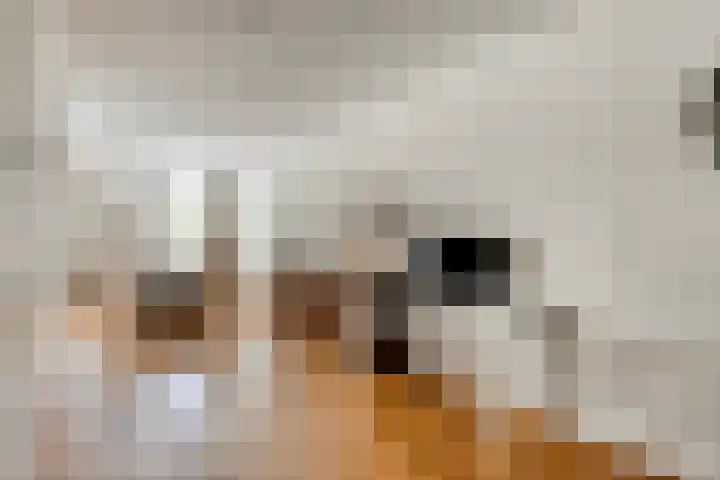 Reute 26 Haaksbergen thumbnail 13