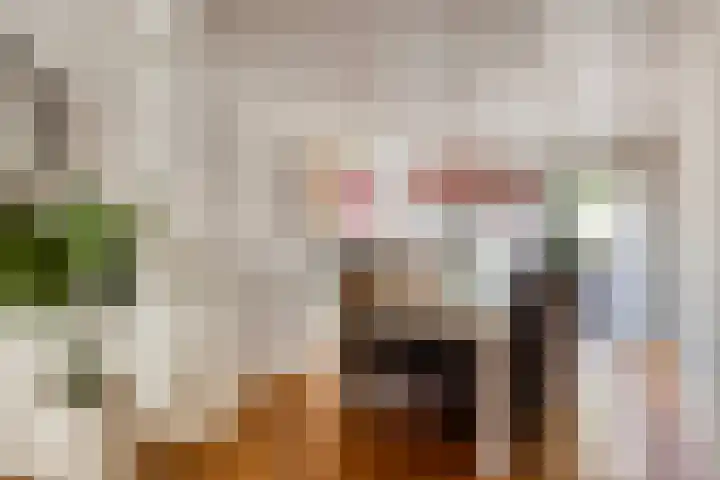 Reute 26 Haaksbergen thumbnail 14