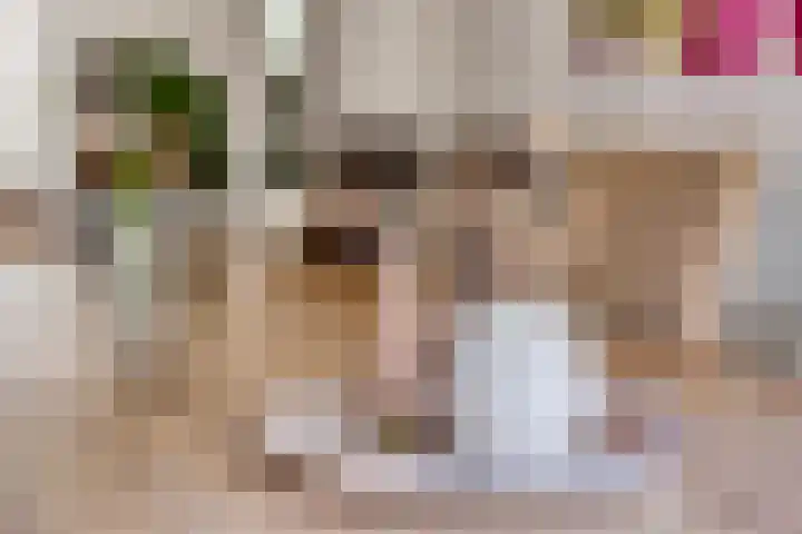 Reute 26 Haaksbergen thumbnail 16