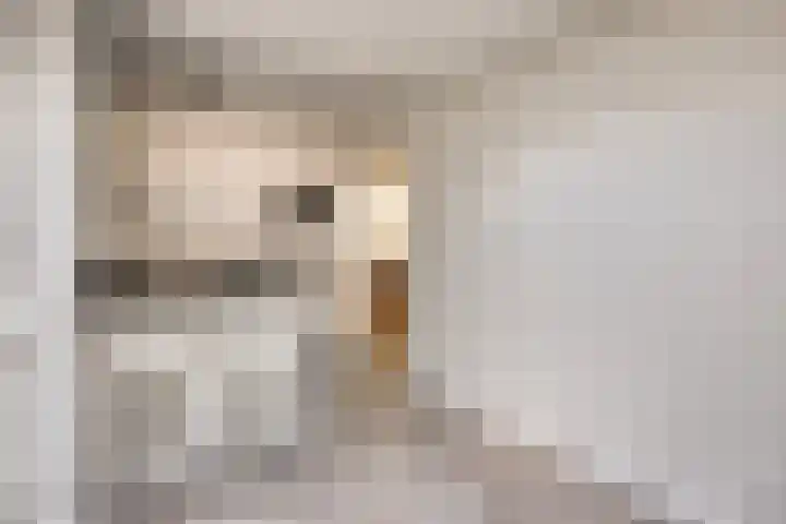 Reute 26 Haaksbergen thumbnail 24